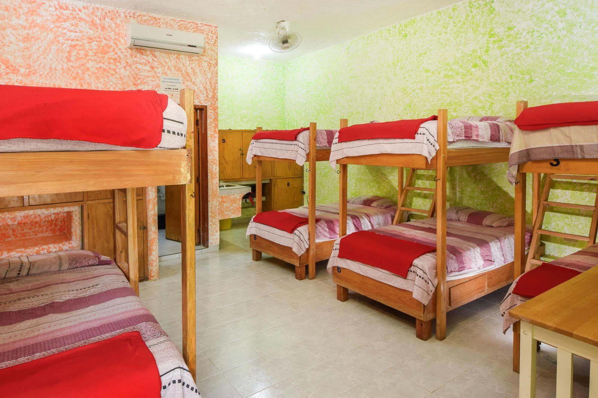 Amigos Hostel Cozumel Hostel-Betten foto