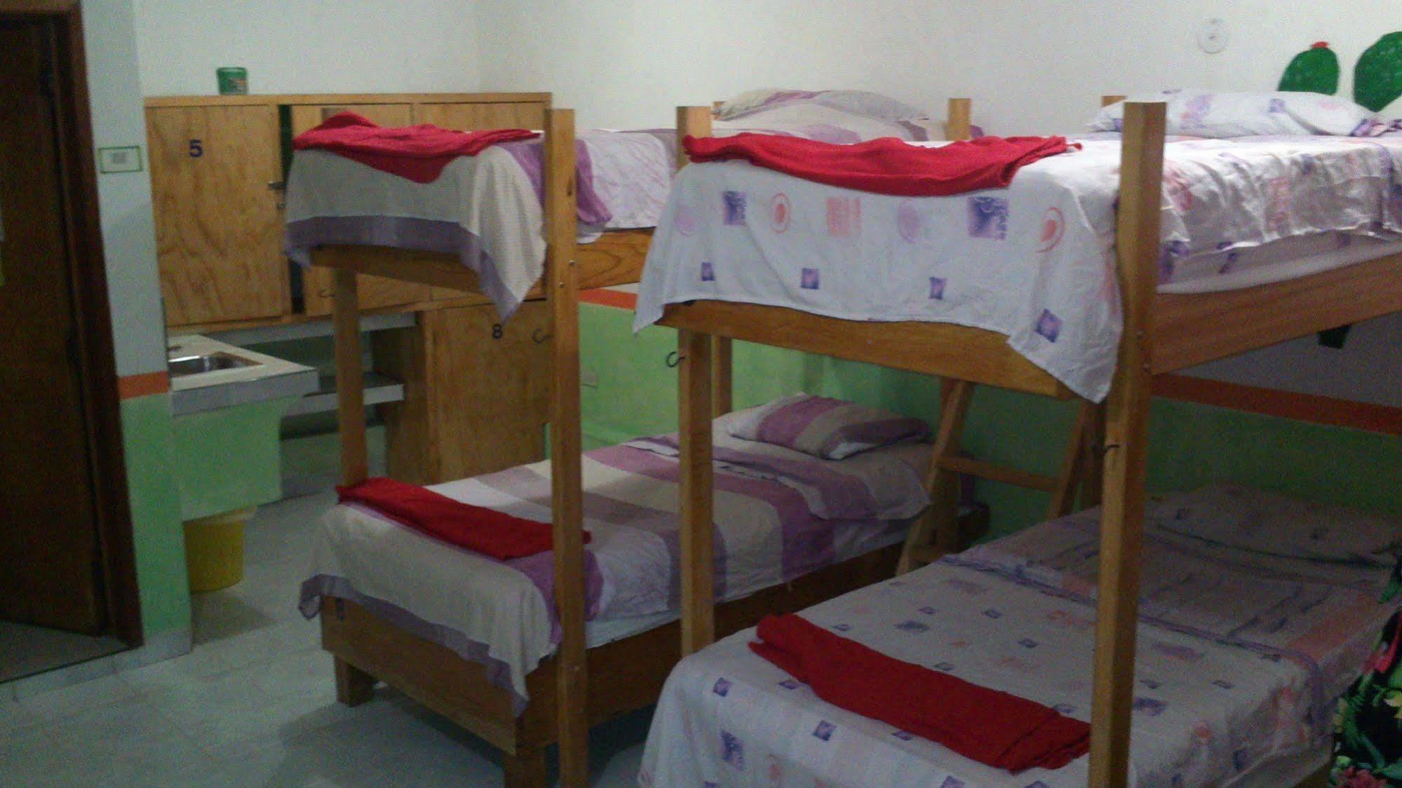 Amigos Hostel Cozumel Hostel-Betten foto